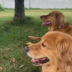 Meet your Posher, Ricky